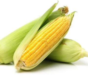 Corn On The Cob, Sold In Singles