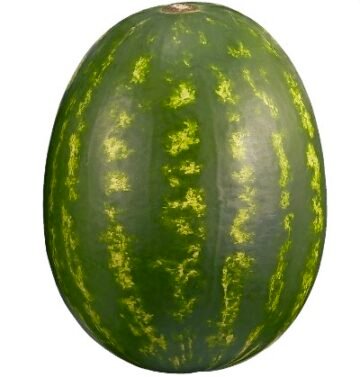 Red Seedless Watermelon