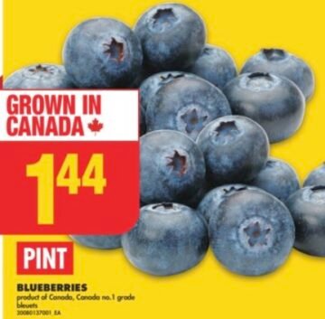 Blueberries 1 Pint