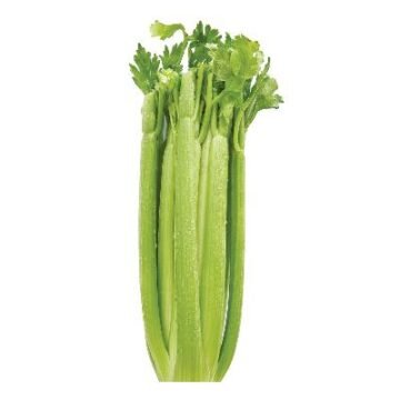 Sleeved Celery