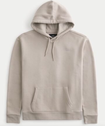 Hollister Icon Hoodie