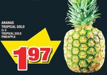 Tropical Gold Pineapple