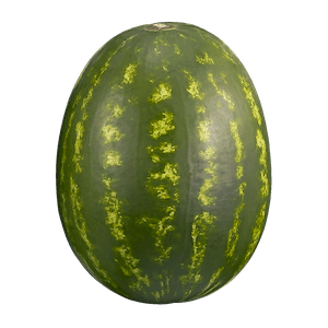 Red Seedless Watermelon 1 Ea