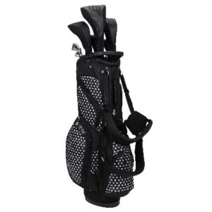 Nancy Lopez Fairways 11-club Women’s Golf Set Package with Stand Bag Nancy Lopez Fairways 11-club Women’s Golf Set Package with Stand Bag