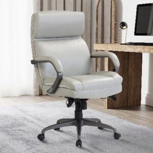 Sealy Brisa Executive Office Chair Sealy Brisa Executive Office Chair